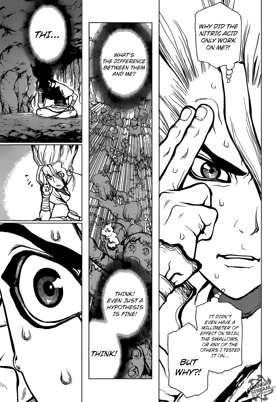 Dr. Stone Chapter 14 13